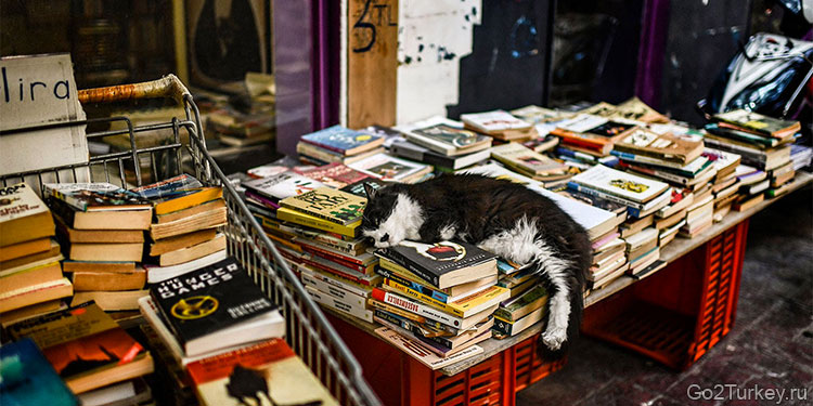 Книжные развалы в Турции