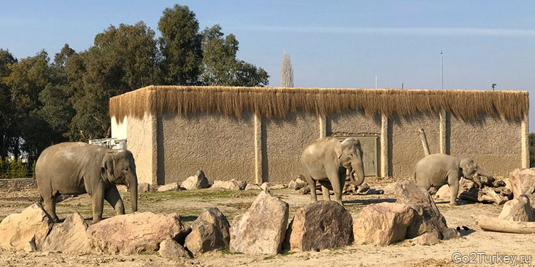 Зоопарк Измира (Izmir Wild Life Park) в Измире