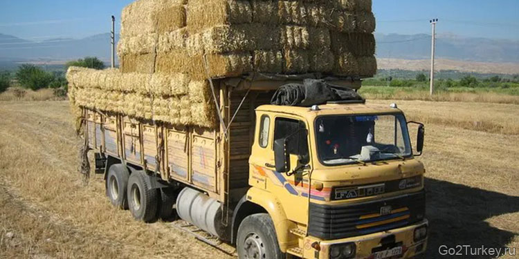 BMC Fatih 110-08