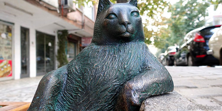 Памятник коту в Стамбуле